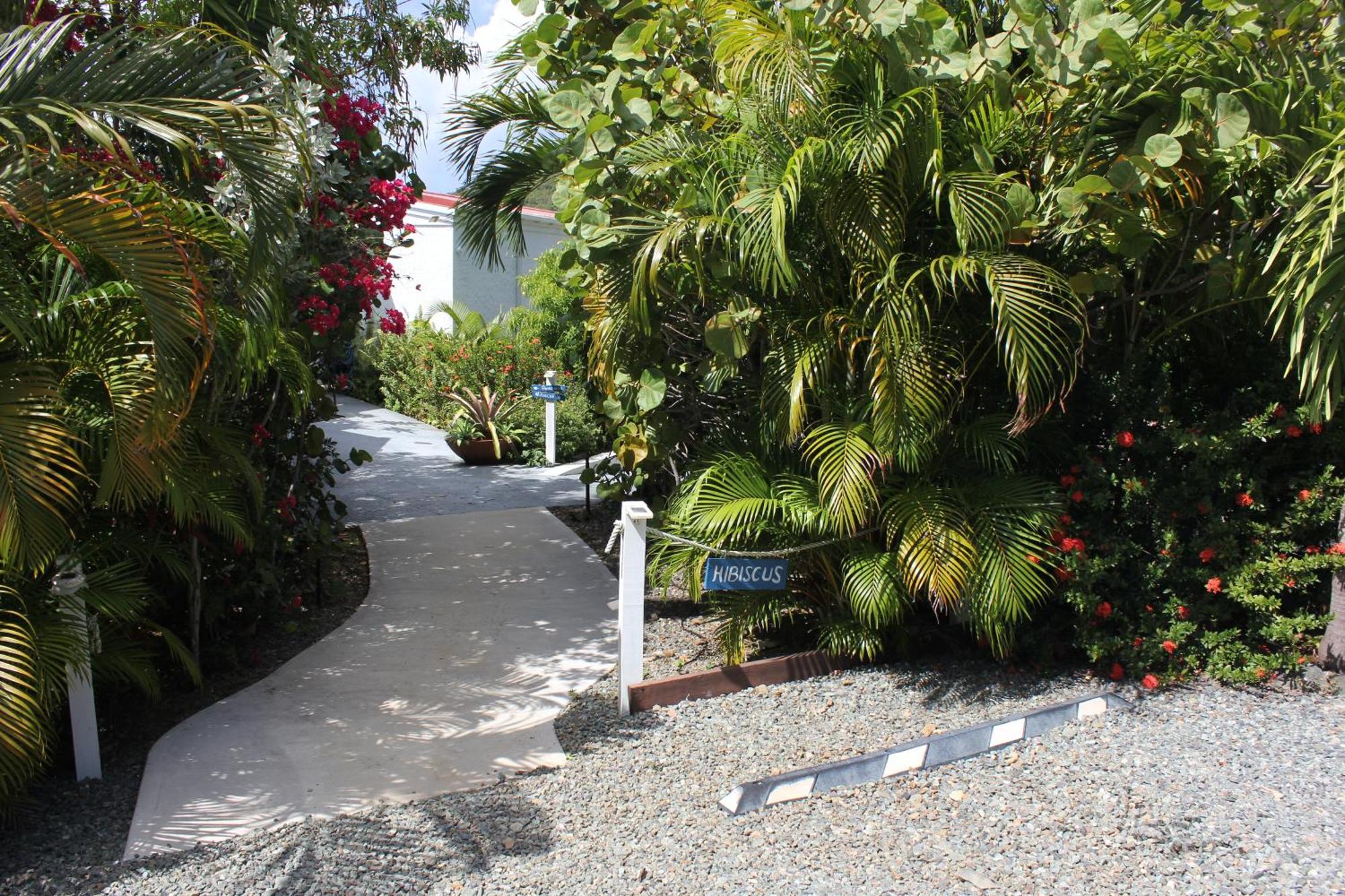 Fantastic Penthouse At Sunset Serenade Suites Cruz Bay Exterior photo